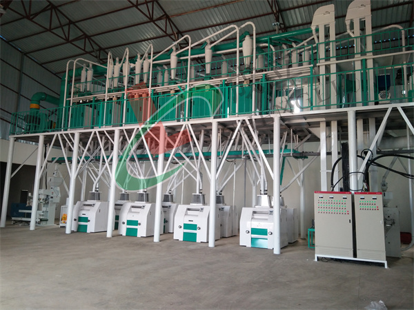 80噸級玉米加工設備